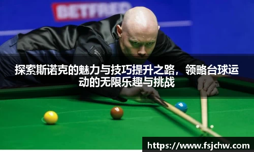 探索斯诺克的魅力与技巧提升之路，领略台球运动的无限乐趣与挑战